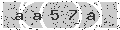verify code