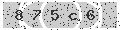 verify code