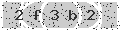 verify code