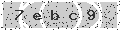 verify code