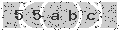 verify code