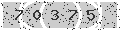 verify code