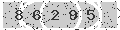 verify code