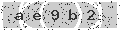 verify code