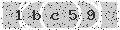 verify code