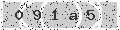 verify code