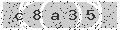 verify code