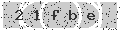 verify code