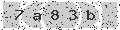 verify code